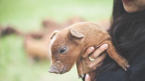 Original Fare Season 4 Episode 2 - Eastern Oregon Adventure