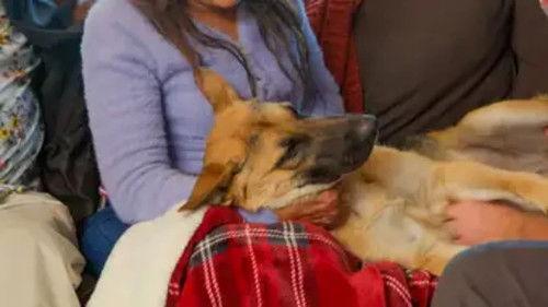 Background image for Story's Magic Leg