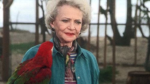 Magnum, P.I. Season 3 Episode 16 - Birdman of Budapest