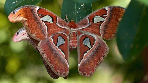 Paradise Islands Season 1 Episode 2 - Sun Kings