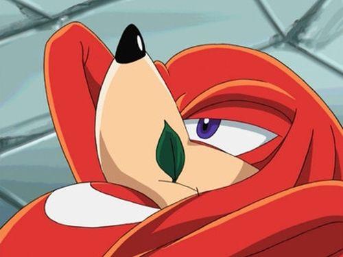 Sonic X Season 1 Episode 17 - The Adventures of Knuckles and Hawk