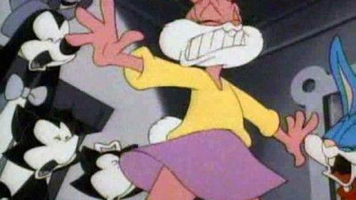 Tiny Toon Adventures Season 3 Episode 9 - Two-Tone Town