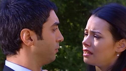 The Valley of The Wolves Season 2 Episode 2 - Episode 22