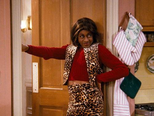 Family Matters Season 9 Episode 19 - Don't Make Me Over