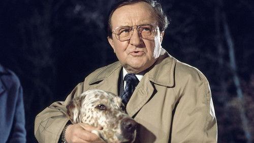 Der Alte Season 6 Episode 10 - Episode 10