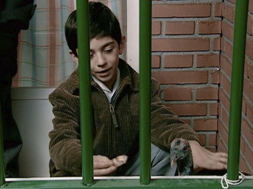 Cuéntame cómo pasó Season 1 Episode 13 - Episode 13