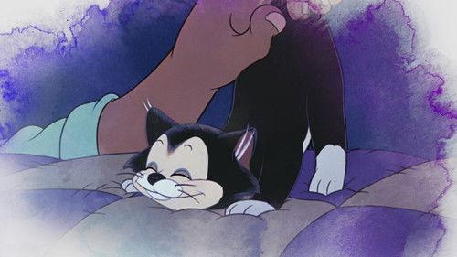 Zenimation Season 2 Episode 2 - Everyday Comforts