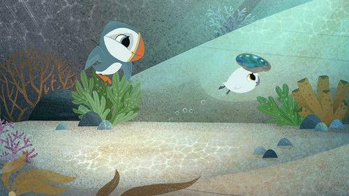 Puffin Rock Season 3 Episode 20 - Swimming Lesson