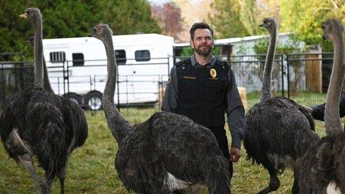 Animal Control Season 1 Episode 1 - Weasels and Ostriches
