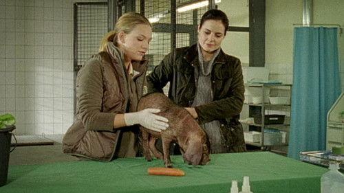 Tierärztin Dr. Mertens Season 2 Episode 12 - Episode 12