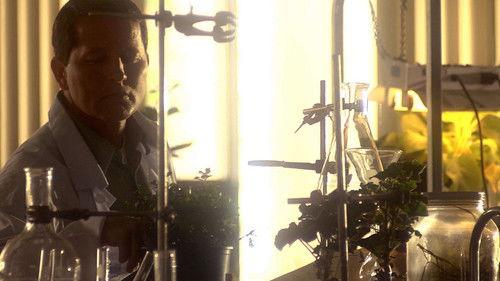 Forensic Firsts Season 2 Episode 7 - Plant Evidence