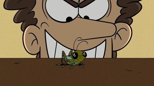 The Loud House Season 6 Episode 7 - A Bug’s Strife