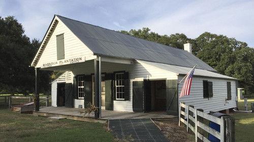 Background image for Magnolia Plantation