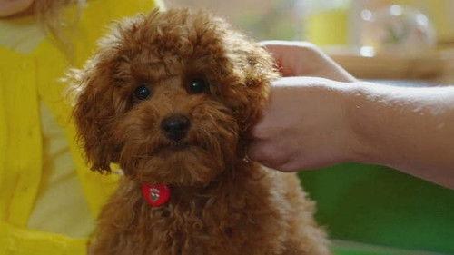 Background image for Waffle Grows