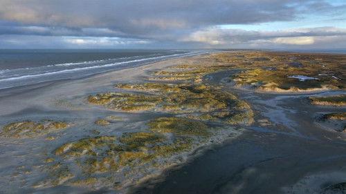 mare TV Season 22 Episode 3 - Episode 3