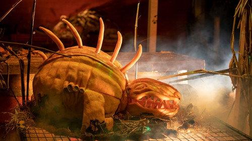 Outrageous Pumpkins Season 1 Episode 3 - Zombie Beasts