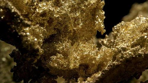 Background image for The Gold Rush