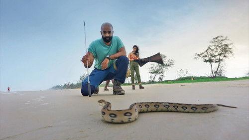 Snakes SOS: Goa's Wildest Season 1 Episode 2 - Venomous Visitors