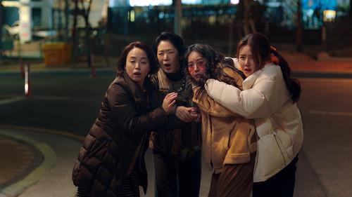 Background image for From Today We Are