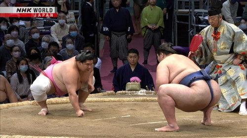 GRAND SUMO Highlights Season 14 Episode 8 - Day 8