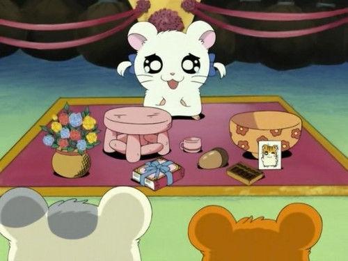 Hamtaro Season 1 Episode 36 - Farewell, Bijou!