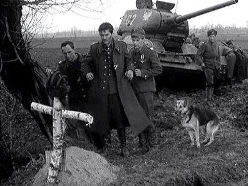 Four Tank-Men and a Dog Season 1 Episode 7 - Rozstajne drogi