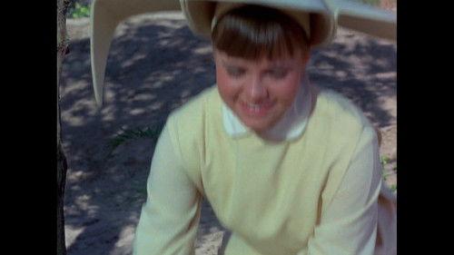 The Flying Nun Season 1 Episode 29 - Love Me, Love My Dog