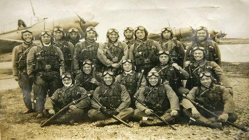 Ulisse - Il piacere della scoperta Season 9 Episode 8 - Episode 8