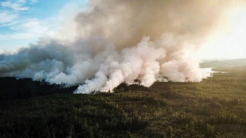 Uppdrag granskning Season 19 Episode 3 - Episode 3