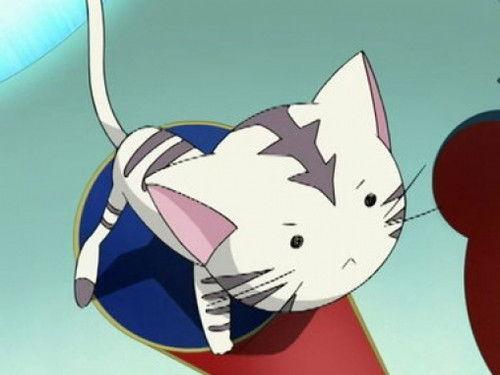 Tai Chi Chasers Season 1 Episode 21 - Misfit Marauders