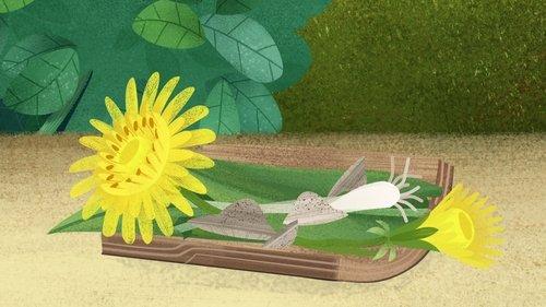 Puffin Rock Season 2 Episode 12 - Dinner at Bernie's