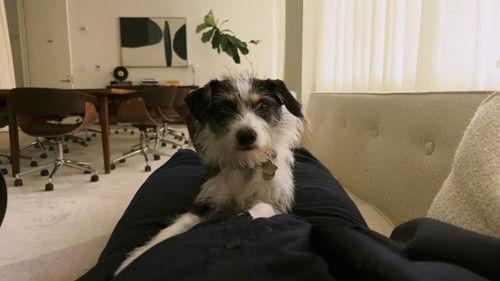 Command Z Season 1 Episode 4 - The Pryce Is Wrong II