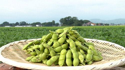 Trails to Tsukiji Season 2 Episode 19 - Edamame