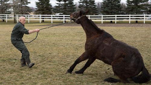 The Incredible Dr. Pol Season 12 Episode 1 - What's Moo with Ewe?
