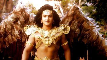 Background image for The circle of life