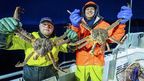 Deadliest Catch Season 18 Episode 6 - Sons of Legacy