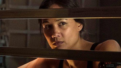 Background image for Congregation