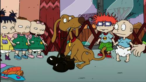 undefined Season 8 Episode 34 - Bad Shoes