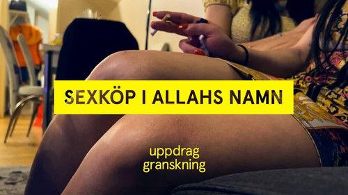 Uppdrag granskning Season 22 Episode 15 - Episode 15
