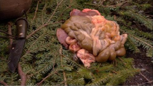 Dual Survival Season 1 Episode 1 - Shipwrecked