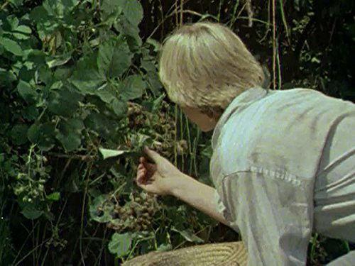 Huckleberry Finn and His Friends Season 1 Episode 17 - Smallpox