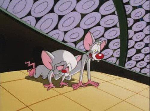 Pinky and the Brain Season 4 Episode 1 - Brainwashed Pt. 1: Brain, Brain, Go Away