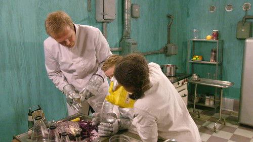 Det store eksperimentet Season 1 Episode 19 - Episode 19