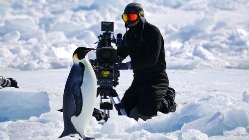 Hostile Planet Season 1 Episode 6 - Polar