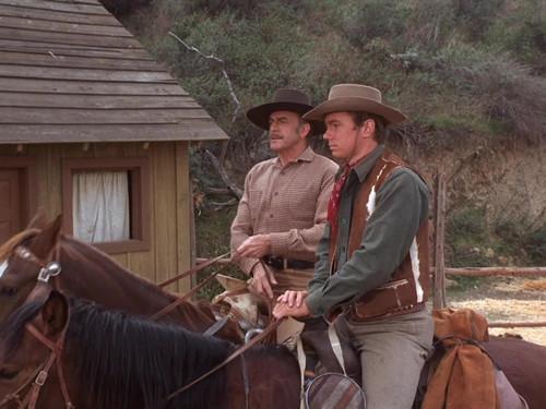 Background image for One Spring Like Long Ago