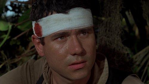 Baa Baa Black Sheep Season 1 Episode 10 - New Georgia on My Mind