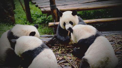 The UnBelievable with Dan Aykroyd Season 3 Episode 11 - Spectacular Cons