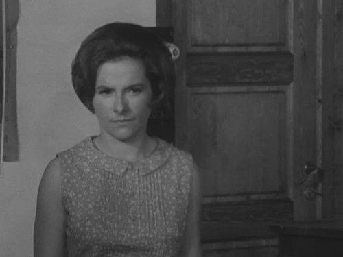 Axel Nort Season 1 Episode 11 - Episode 11