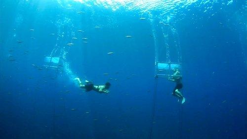 The Challenge Season 27 Episode 9 - Blood Versus Love