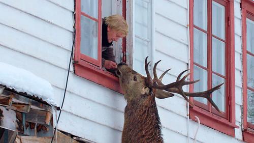 Ut i naturen Season 27 Episode 3 - Episode 3